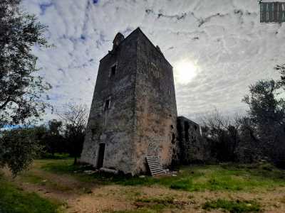 Torniamo ora a esplorare il territorio agricolo. Percorriamo via Vecchia Corato e a sette chilometri da Bisceglie troviamo ci� che resta dello storico Casale di Sagina, distrutto nel XIII secolo. Qui � ancora in piedi l�imponente Torre di Tecla, di tre piani e 20 metri con un arco-campanile in cima